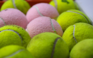 INSCRIPTIONS SAISON 2016/2017+AG+APERITIF DINATOIRE